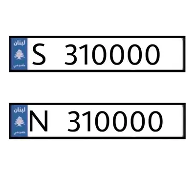 S   310000   &   N   310000