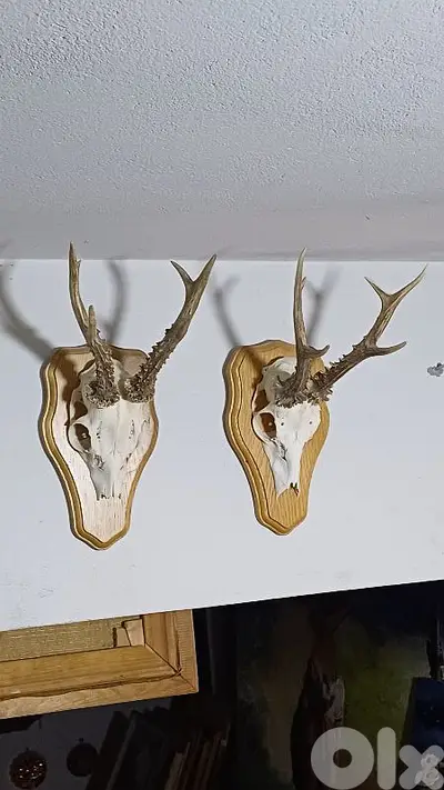 antique