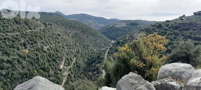 land for sale in batroun asia أرض للبيع في البترون آسيا