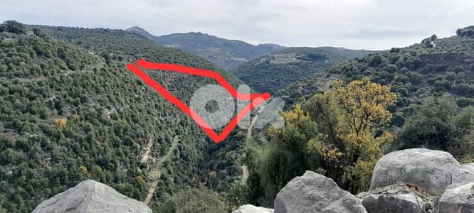 land for sale in batroun asia أرض للبيع في البترون آسيا