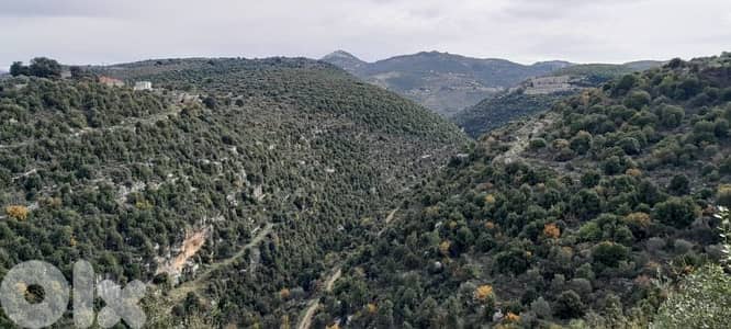 land for sale in batroun asia أرض للبيع في البترون آسيا