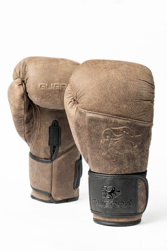 Premium Boxing Gloves 0