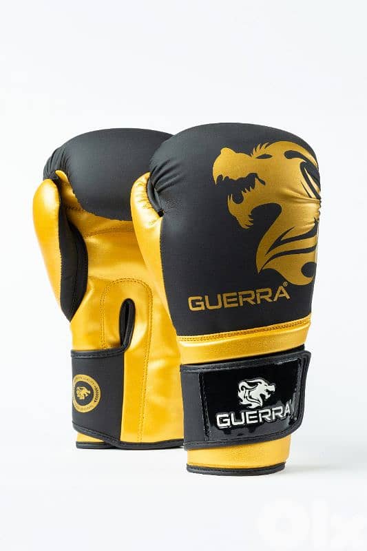Premium Boxing Gloves 5