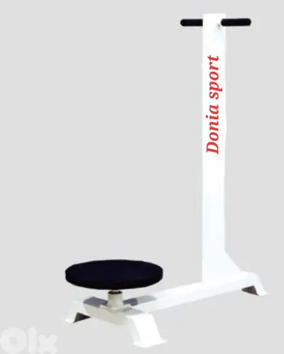 twister exercise machine