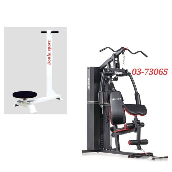 2 items (homegym + twister exercise) 0
