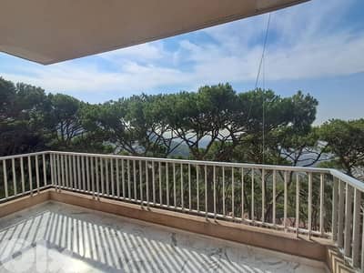 Apartment for Rent in Ain Saade