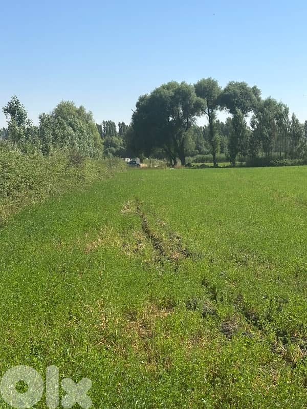 Anjar agricultural plot for sale 0