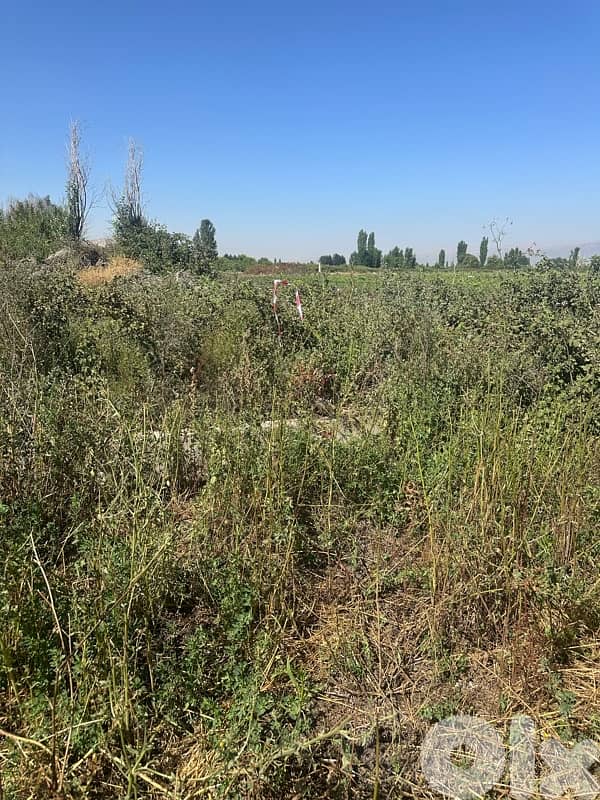 Anjar agricultural plot for sale 2
