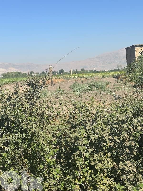 Anjar agricultural plot for sale 3
