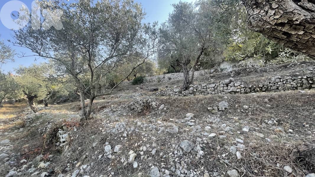 RWB319CA - Land for sale in Chamat Jbeil 0