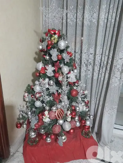 شجرة ميلاد