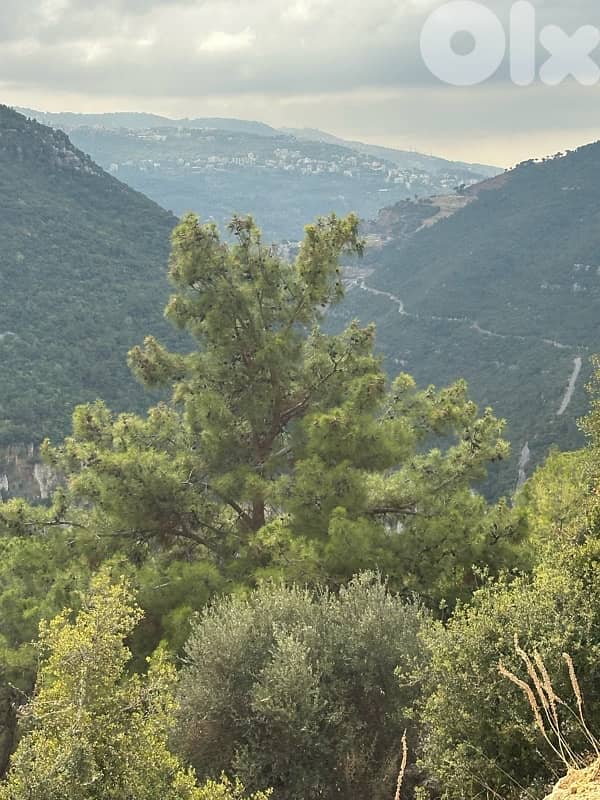 Land For Sale In Broumana 3400m2 ارض في برمانا للبيع 3