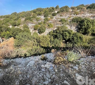 land for sale ارض للبيع في البترون land for sale ارض للبيع في البترون