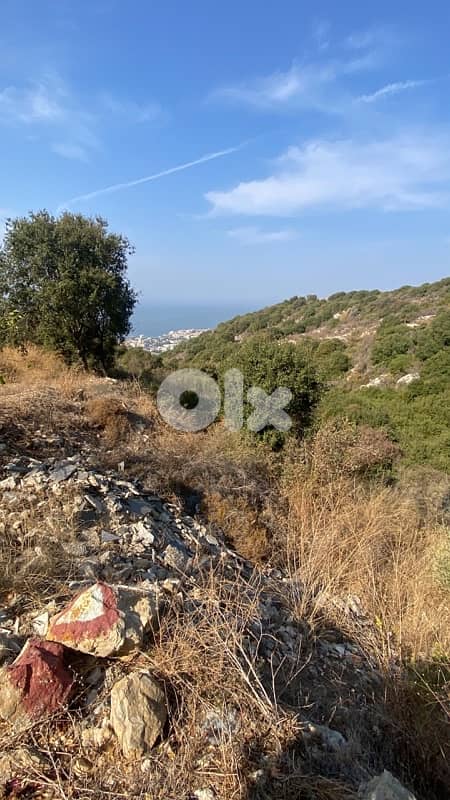 land for sale 2
