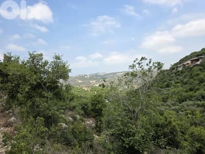 Land | Boxmaya Batroun | Mountain view Bungalows | ارض في البترون | BJ