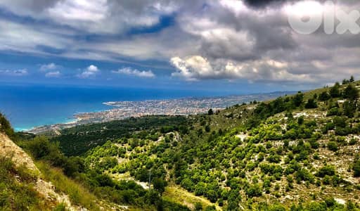 L19711 - Big Residential Land For Sale in Halat With Seaview