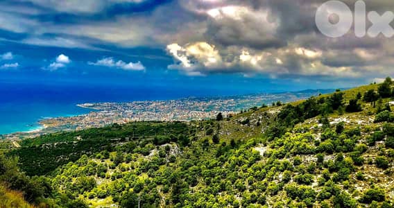 L19711 - Big Residential Land For Sale in Halat With Seaview