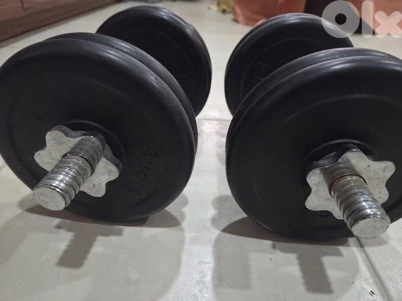 Dumbles 10kg pair 0