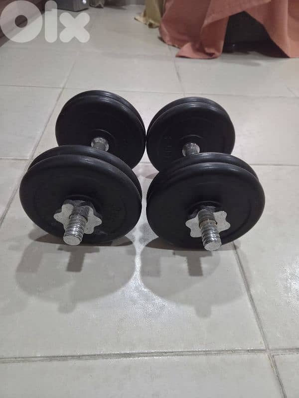 Dumbles 10kg pair 1