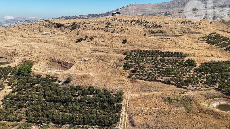 Land for Sale 1
