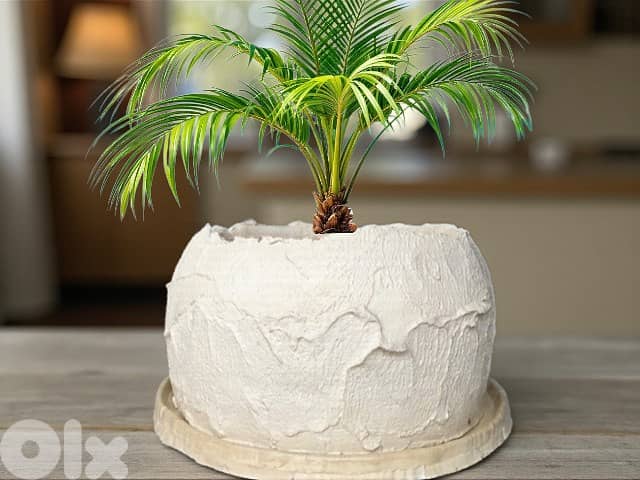 Concrete pot 0