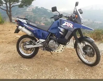 DR800 S