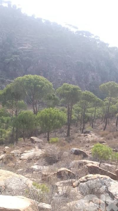 ارض للبيع في حاصبيا الكفير land for sale in hasbaya
