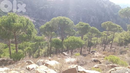 ارض للبيع في حاصبيا الكفير land for sale in hasbaya