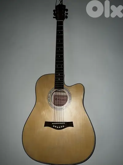 acoustic guitar