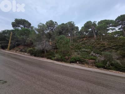 أرض للبيع في بكفبا/ النعص Land for sale in Bikfaya / Naas