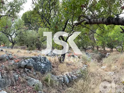 L19732 - Beautiful Land For Sale in Chikhane, Jbeil