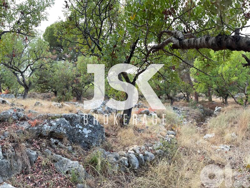 L19732 - Beautiful Land For Sale in Chikhane, Jbeil 0