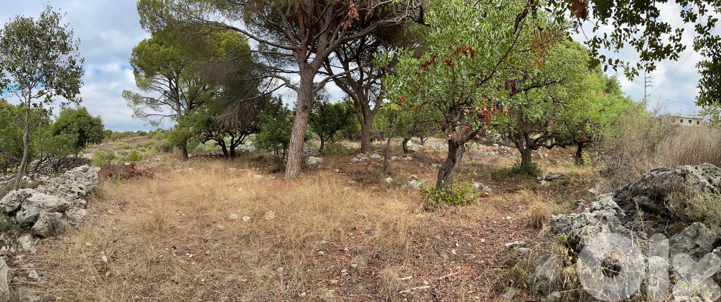 L19732 - Beautiful Land For Sale in Chikhane, Jbeil 1