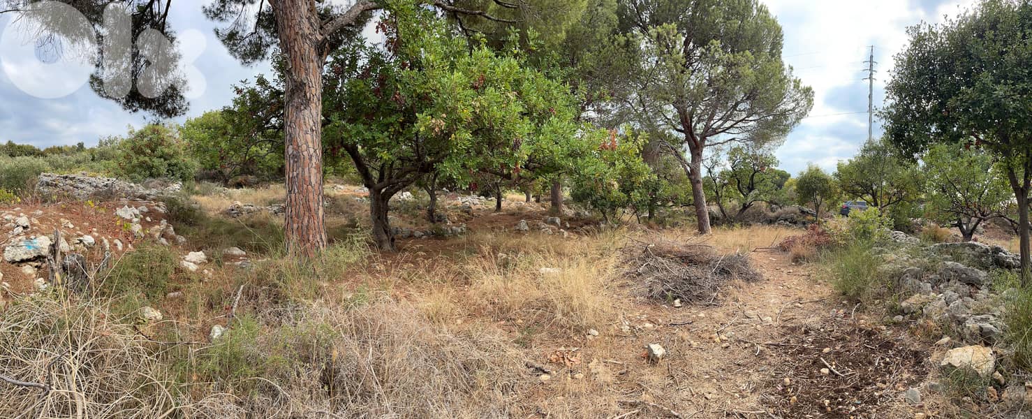 L19732 - Beautiful Land For Sale in Chikhane, Jbeil 2