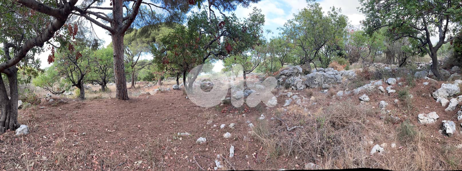 L19732 - Beautiful Land For Sale in Chikhane, Jbeil 3