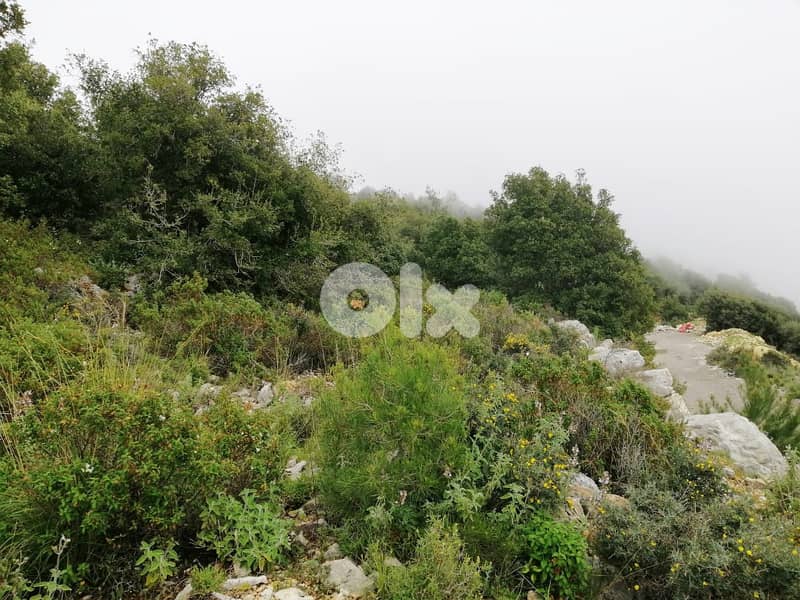 Land For Sale In Blat | Unblockable Sea View | أرض للبيع | PLS 26412 3