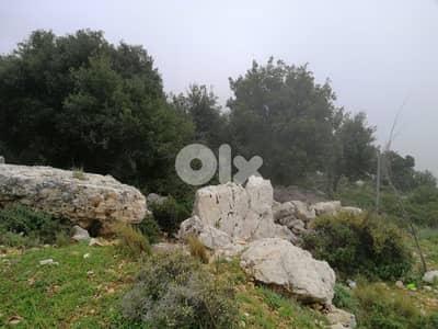 Land For Sale In Blat | Unblockable Sea View | أرض للبيع | PLS 26412