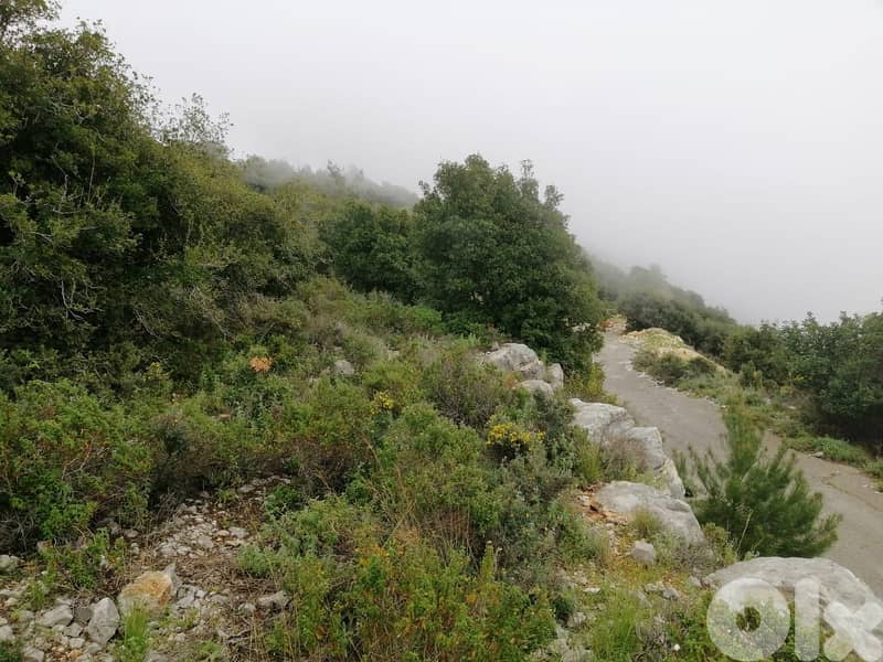 Land For Sale In Blat | Unblockable Sea View | أرض للبيع | PLS 26412 5