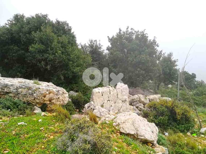 Land For Sale In Blat | Unblockable Sea View | أرض للبيع | PLS 26412 8