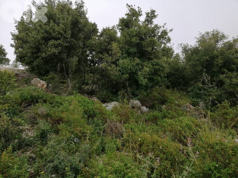 Land For Sale In Blat | Unblockable Sea View | أرض للبيع | PLS 26412 11