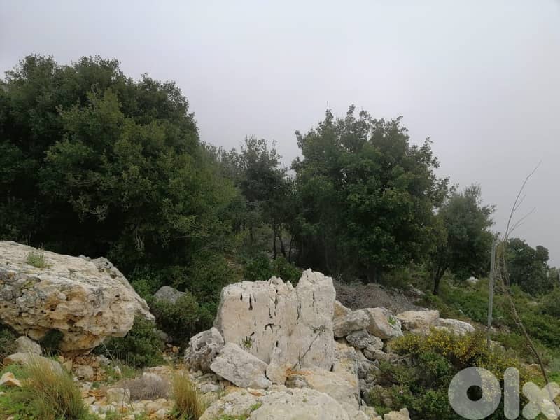 Land For Sale In Blat | Unblockable Sea View | أرض للبيع | PLS 26412 13