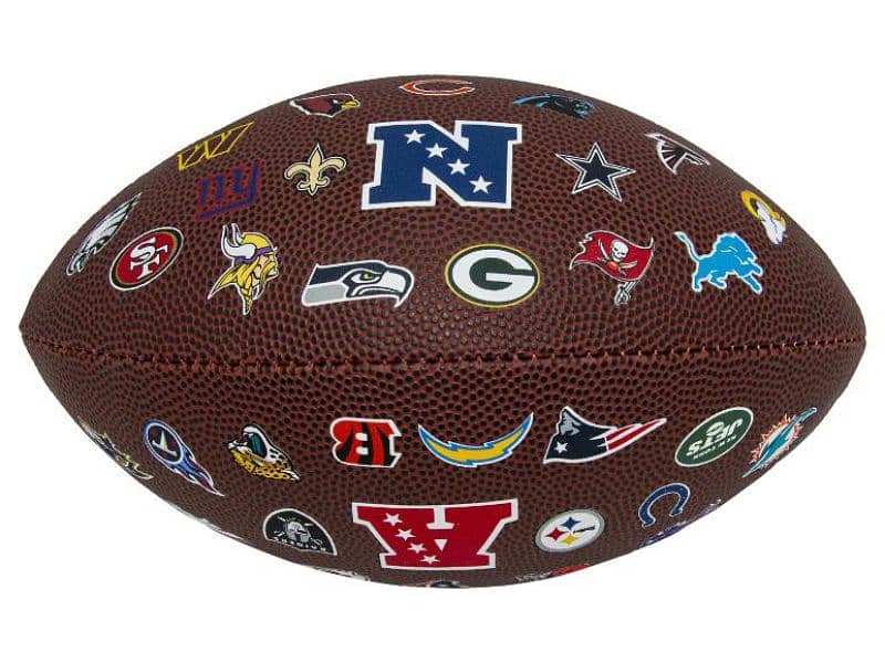 wilson american football/rugby 2