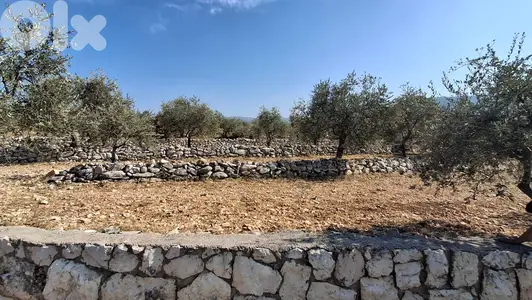 Land for sale in Bziza - أرض للبيع في بزيزا
