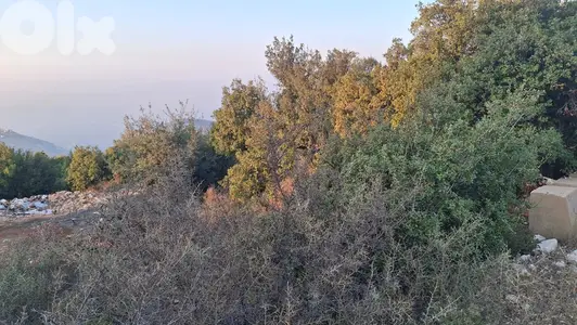 Land for sale in Barhalioun - أرض للبيع في برحليون