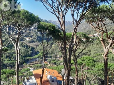 Land For Sale In Baabdat / Zehrieh ارض للبيع في بعبدات الزاهرية