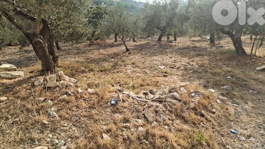 Land for sale in Kousba - أرض للبيع في كوسبا