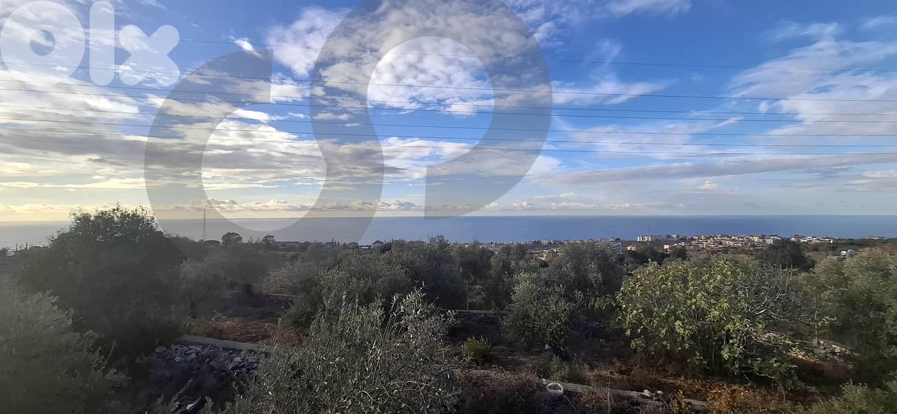Land with Bungalow & Sea View in Daher Mghara - Dibbiyeh REF#DI128721 2