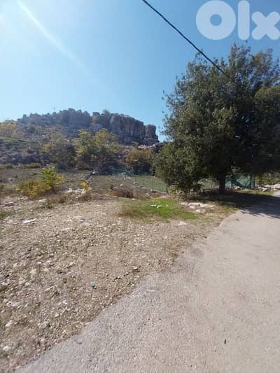 land for sale in aachqout أرض للبيع في عشقوت