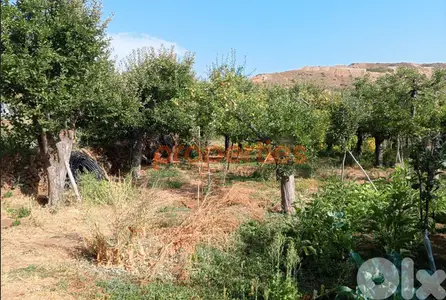 Land for Sale in Zaarour – CPSM415