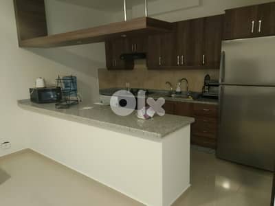 Furnished Apartment For Sale In Biaqout شقة مفروشة للبيع في بياقوت